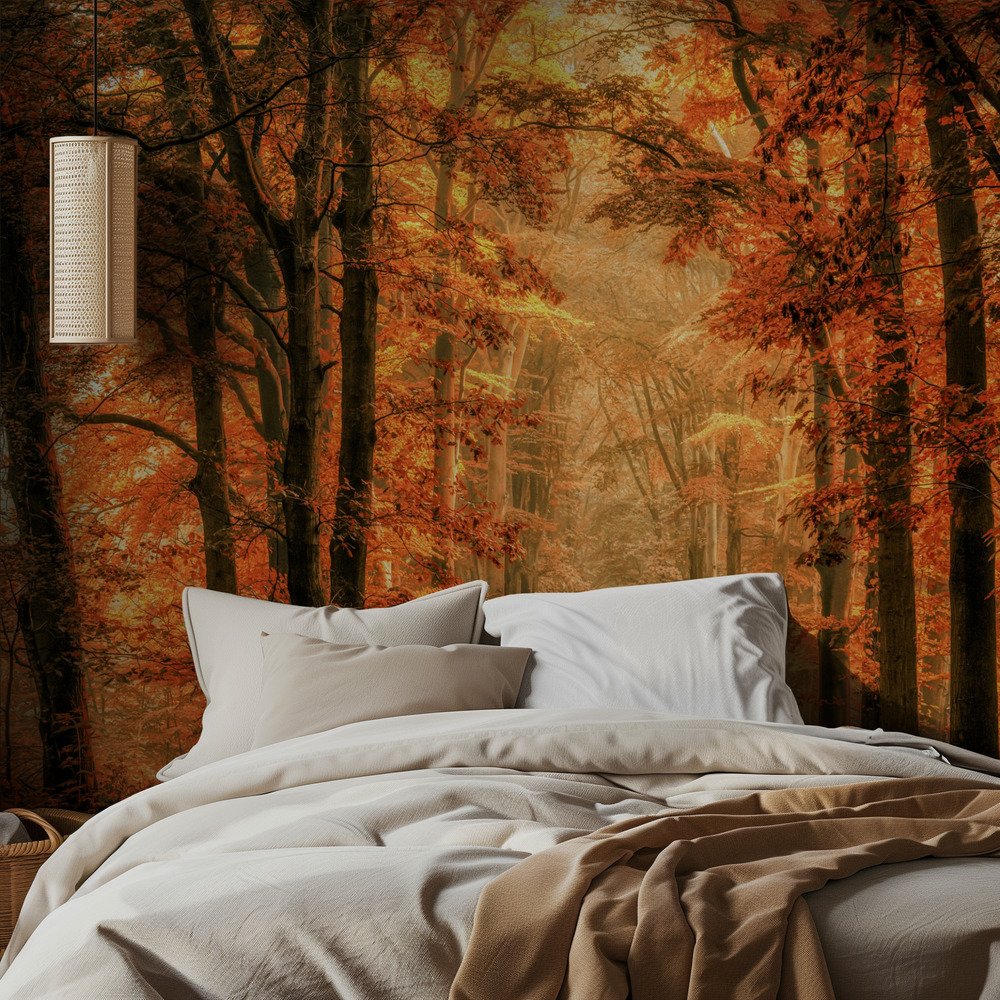 Golden Autumn Forest Path
