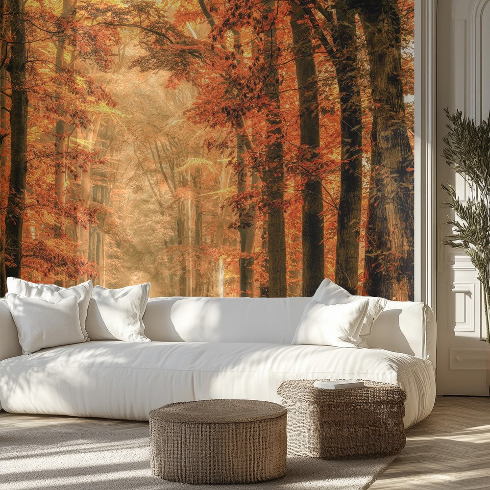 Kids Room