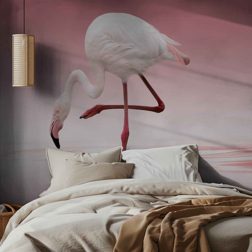 Pink Flamingo Reflection