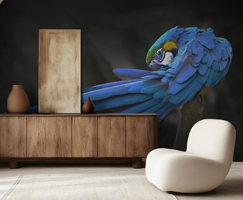 Modern Living