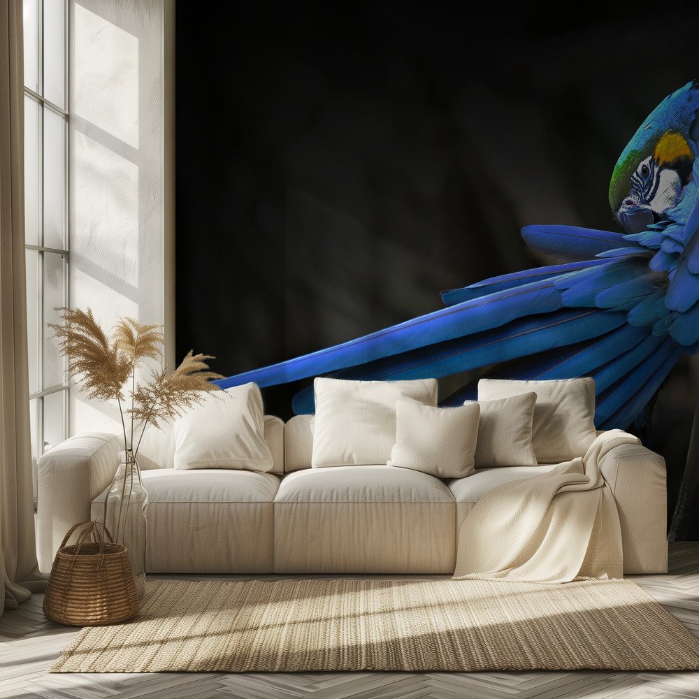 Blue Macaw Preening