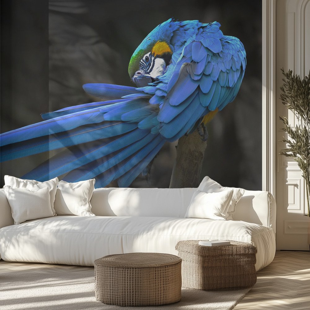 Kids Room