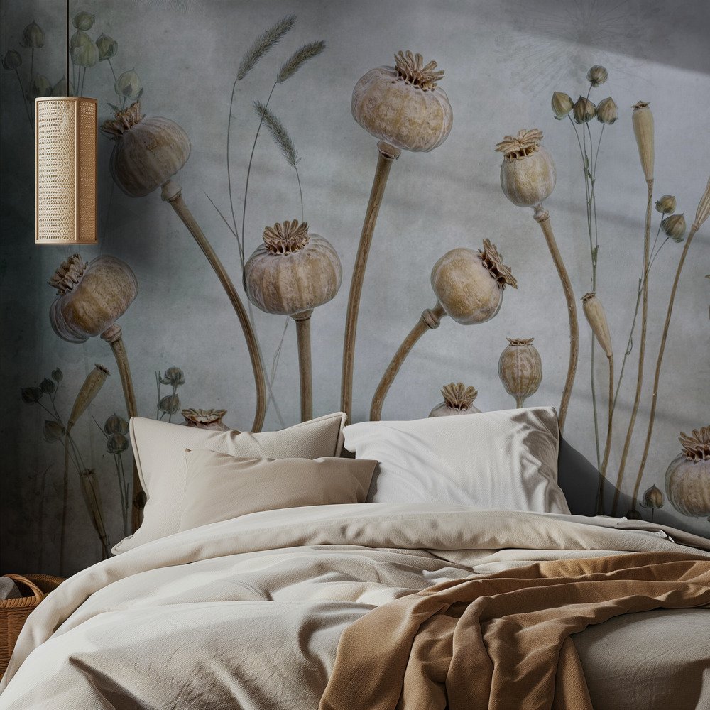 Papaver