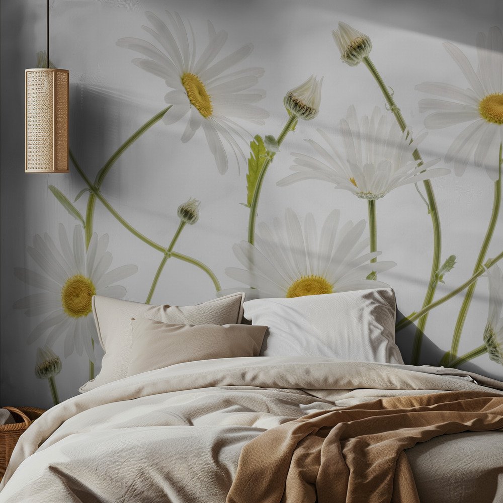 Ox eye Daisies