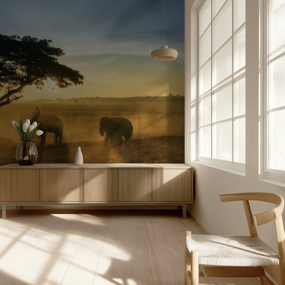 Wallpaper Ideas for Every Room: A Room-by-Room Guide for South African Homes
