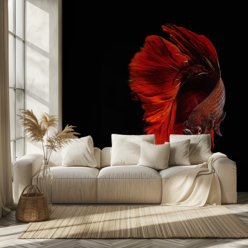 Vibrant Red Betta