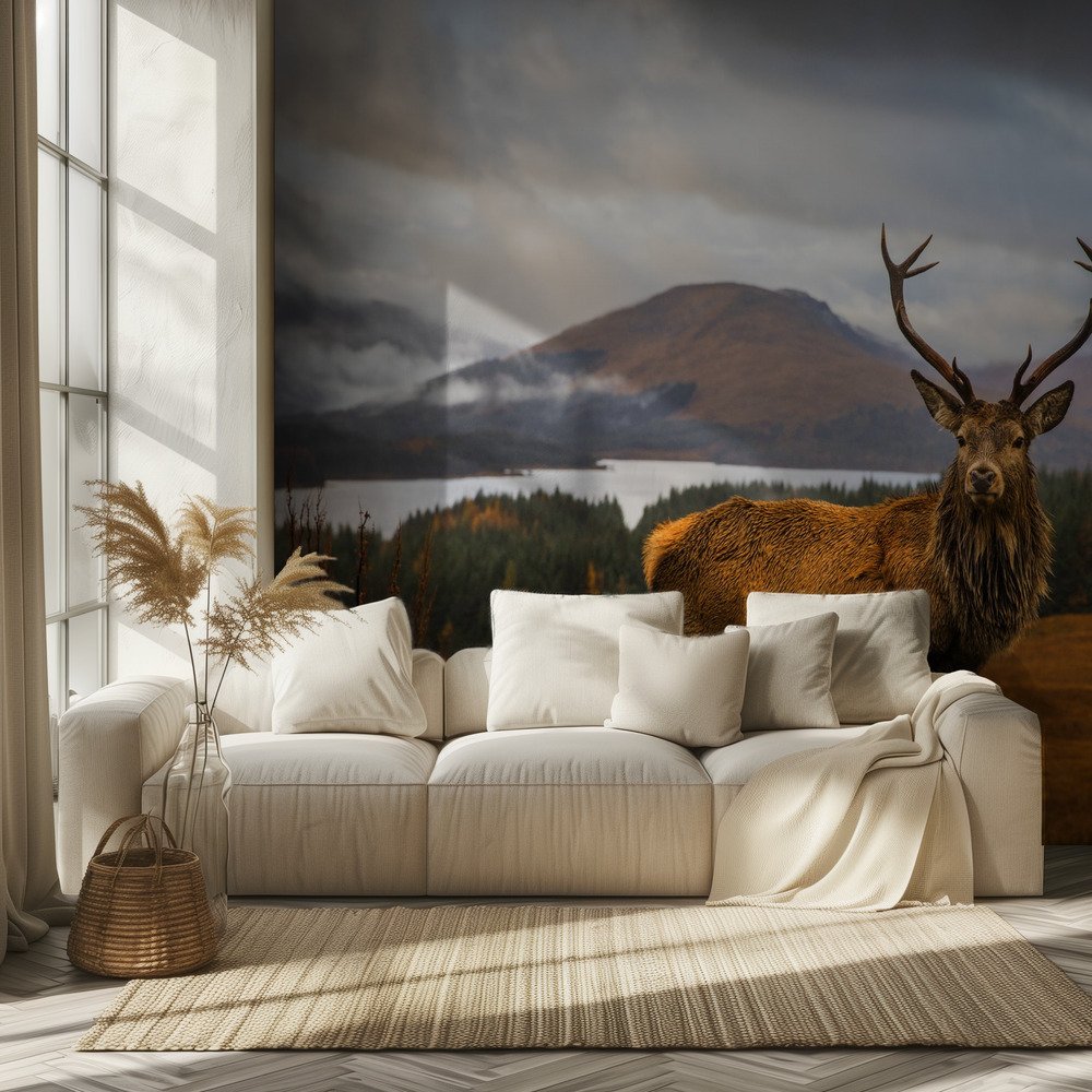 Majestic Highland Stag
