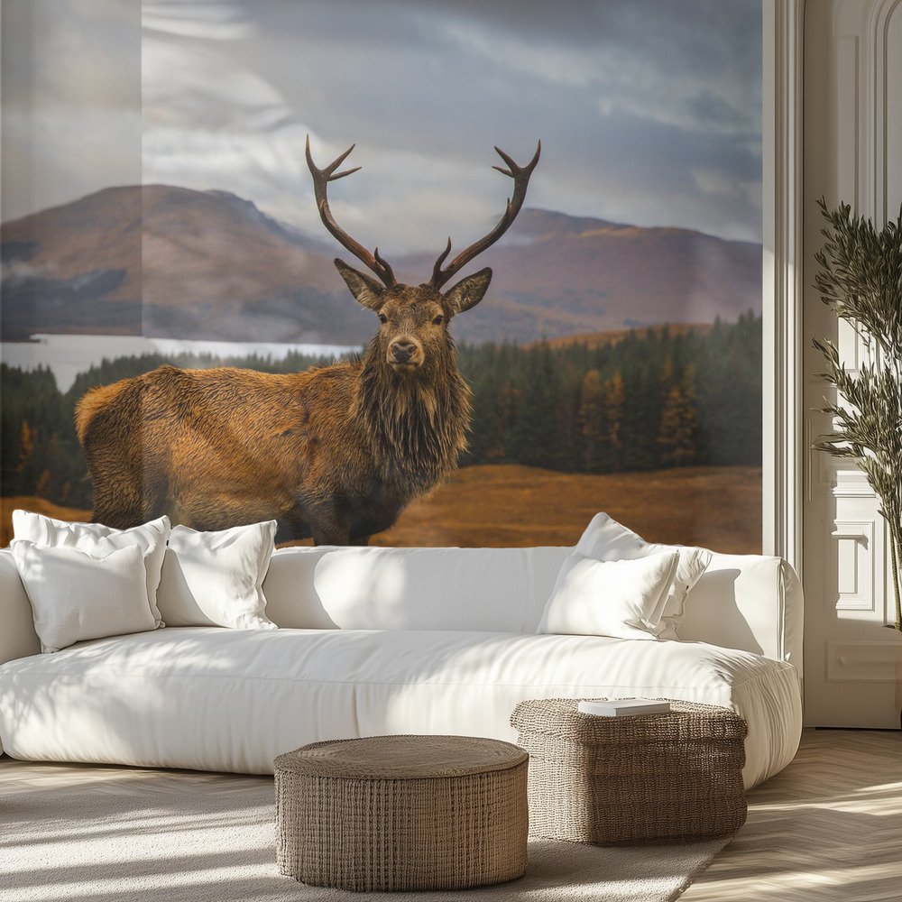 Kids Room