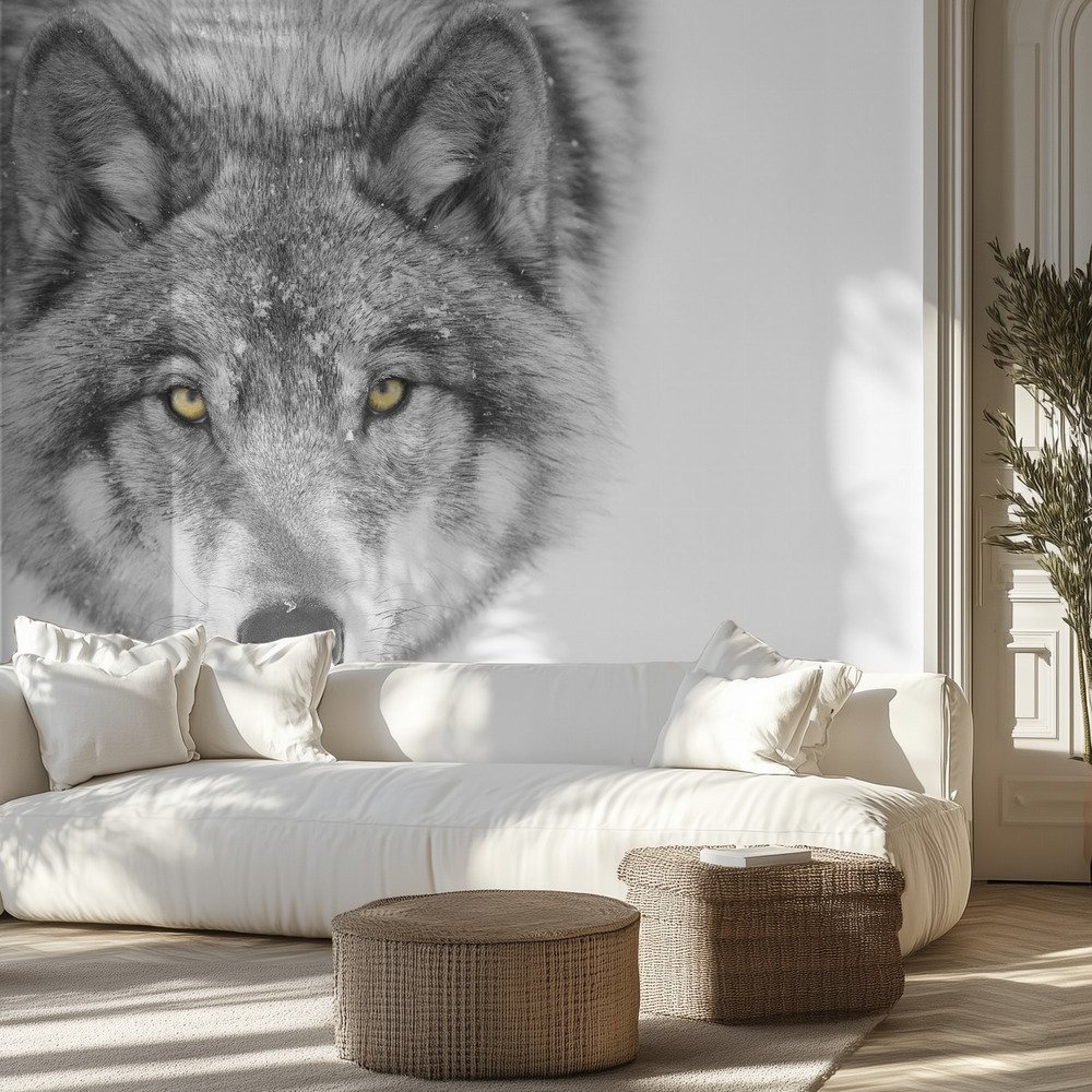 Kids Room