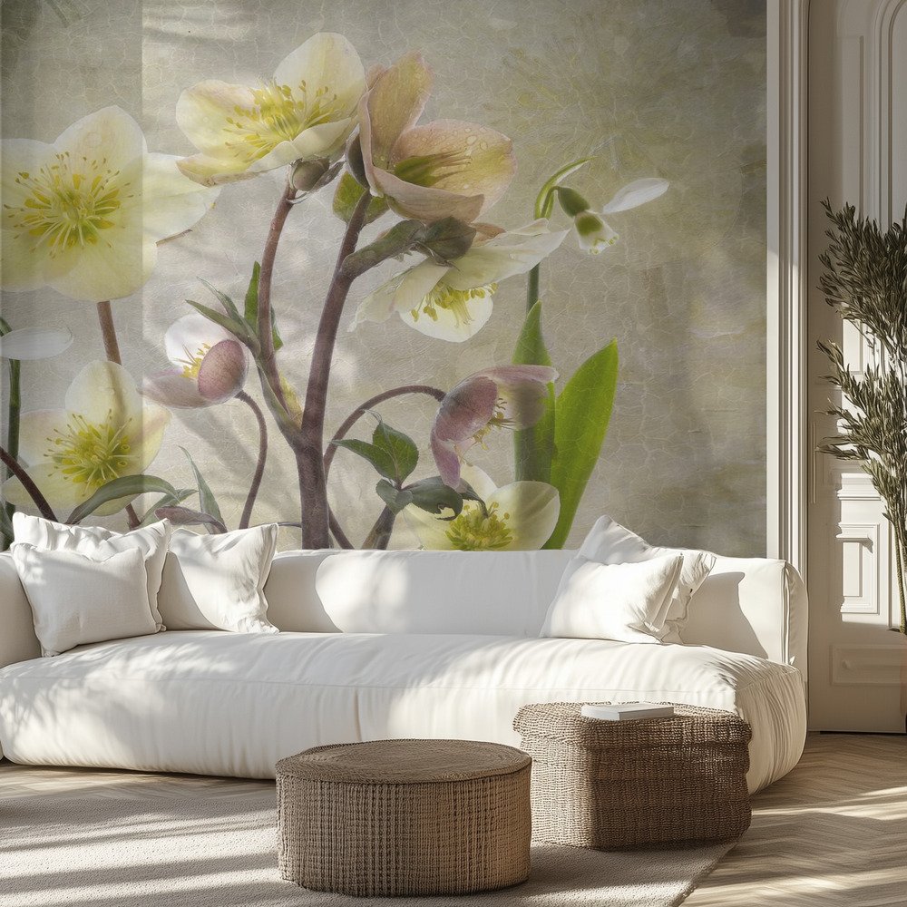 Kids Room