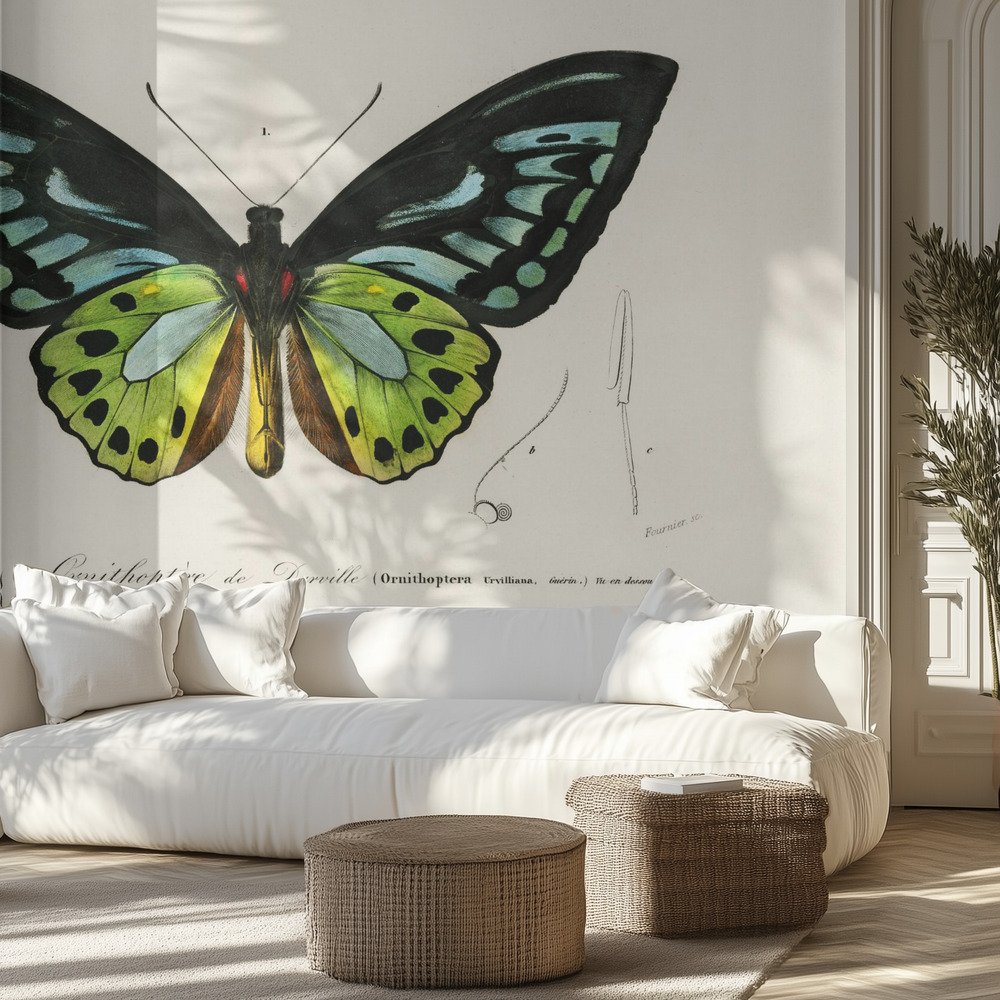 Kids Room