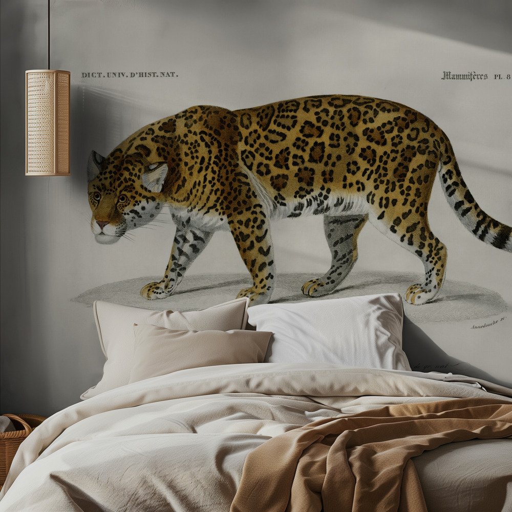 Jaguar (panthera Onca)