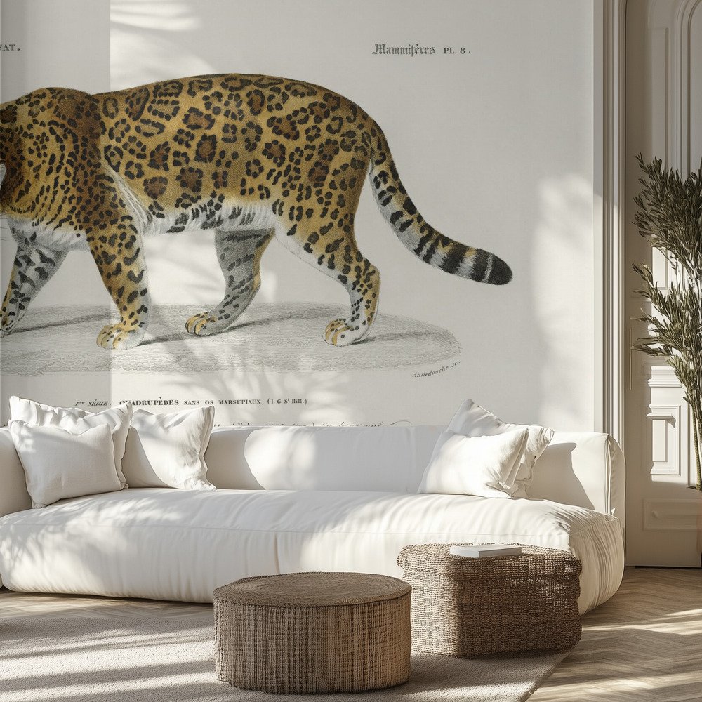 Kids Room