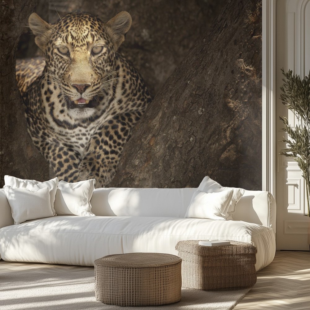 Kids Room