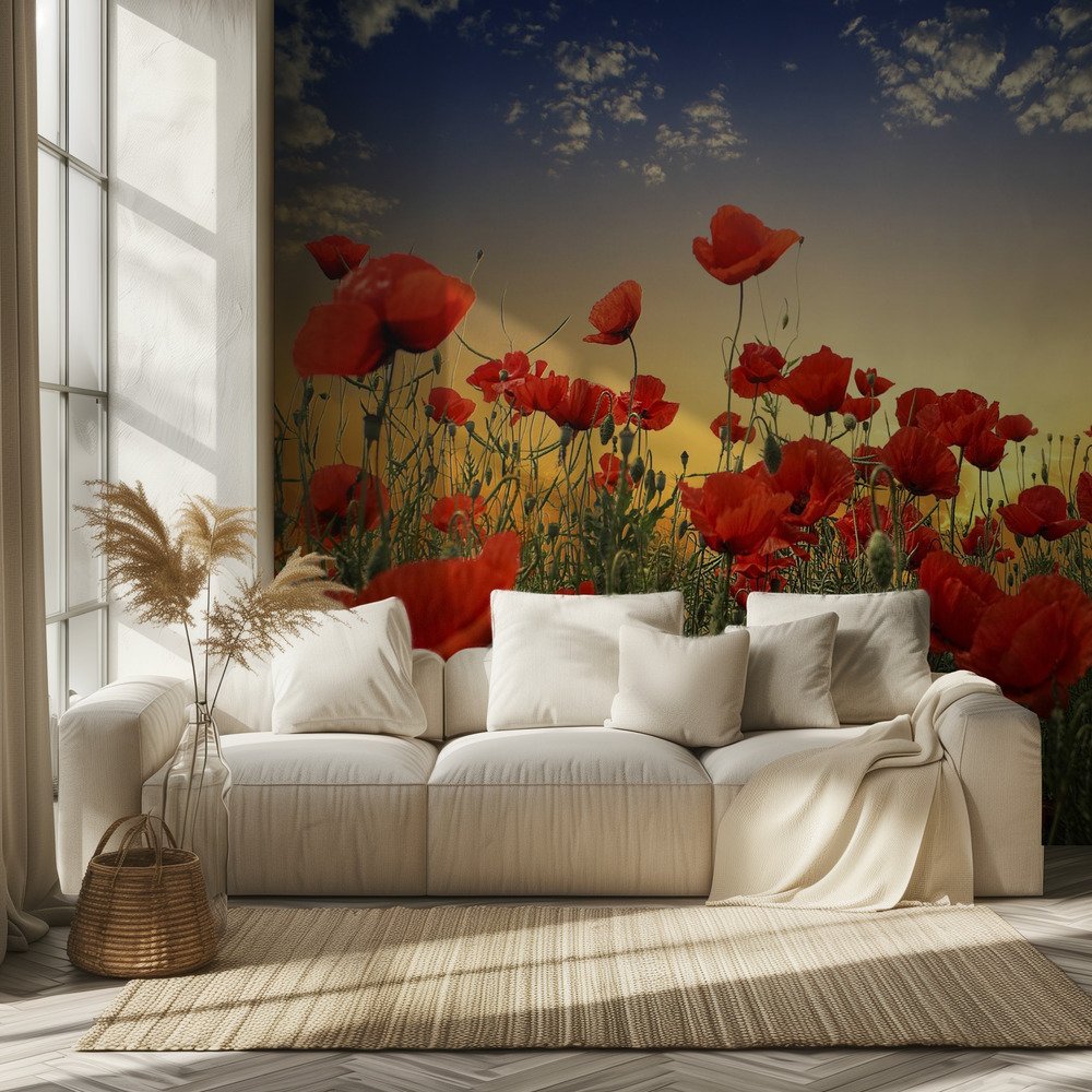 Sunset Poppy Field