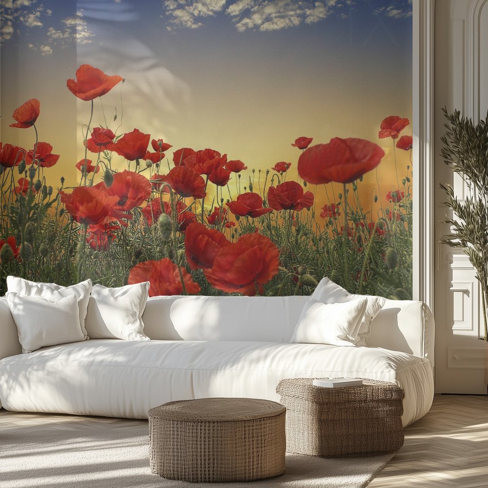 Kids Room