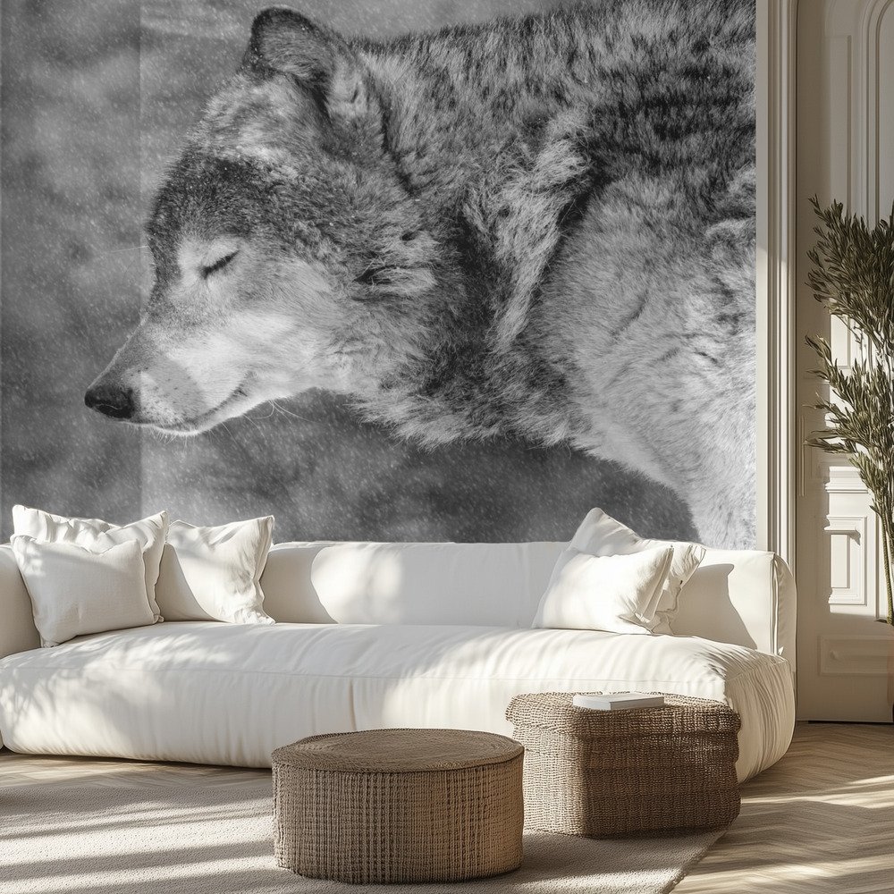 Kids Room