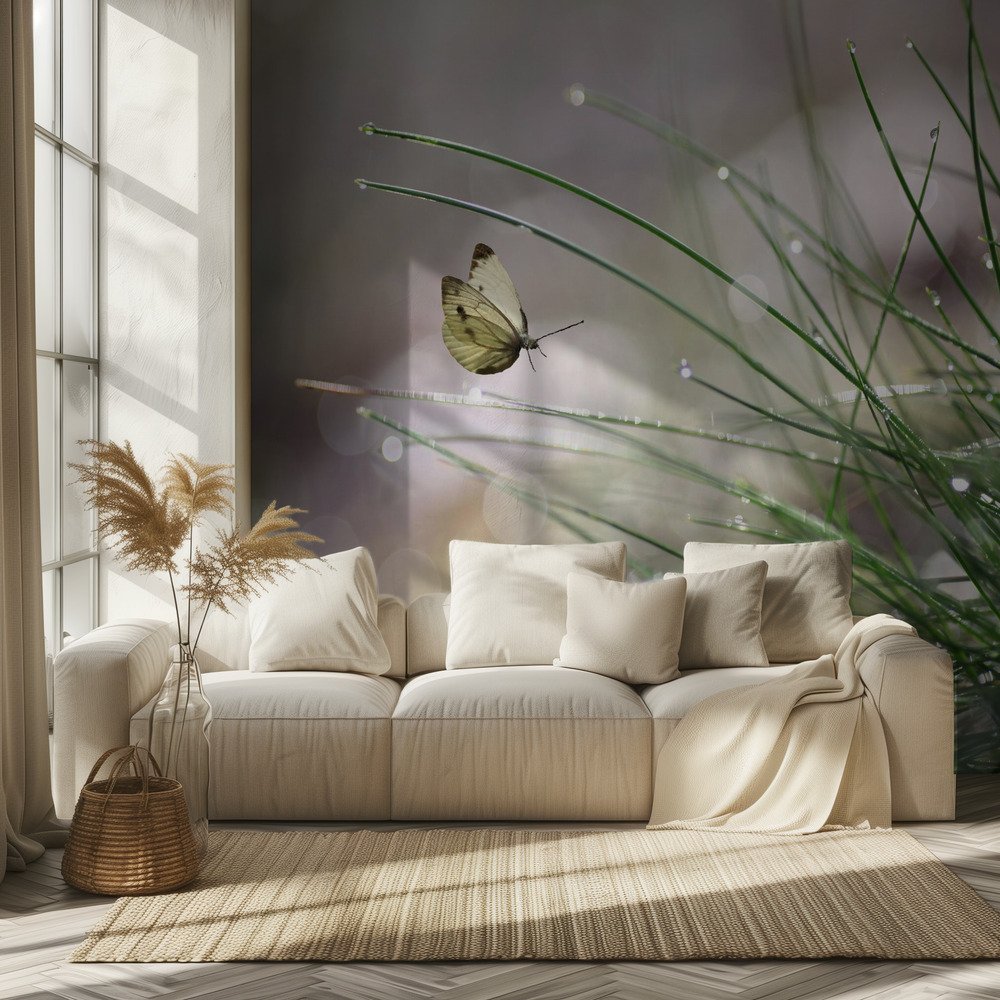 Insect & Butterfly Wallpaper wallpaper collection