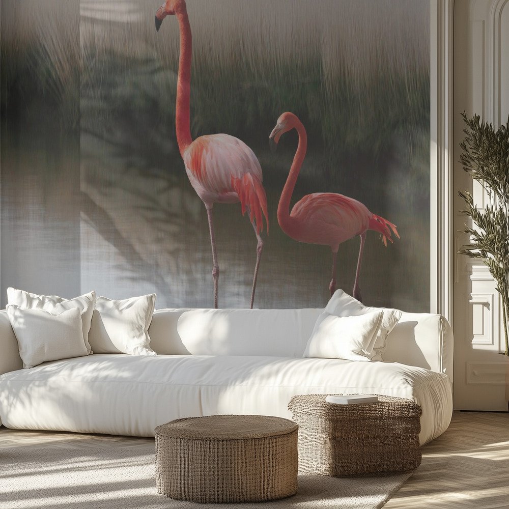 Flamingos In Calm Water