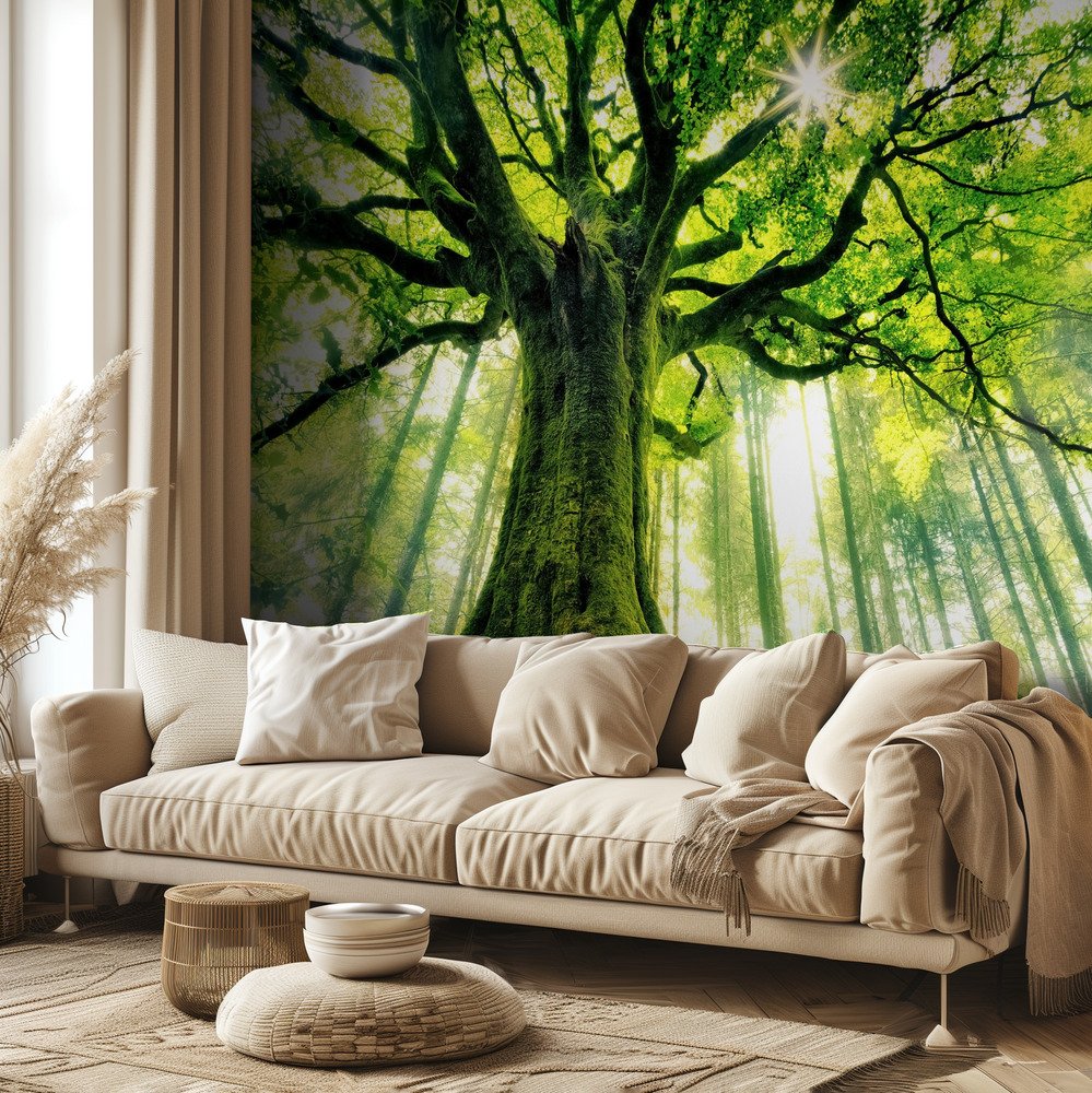 A living room feature wall with a sunlit tree wallpaper design that adds depth and a calm botanical mood behind a beige sofa.