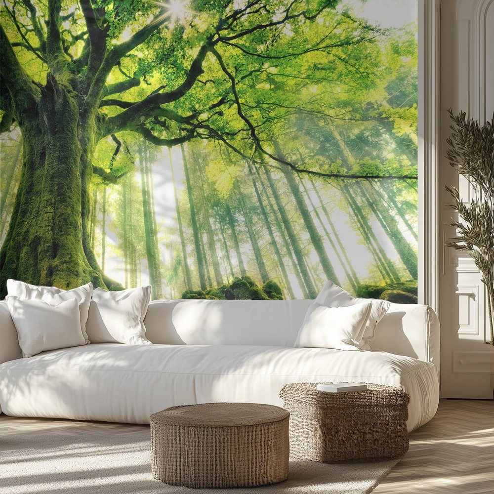 Kids Room