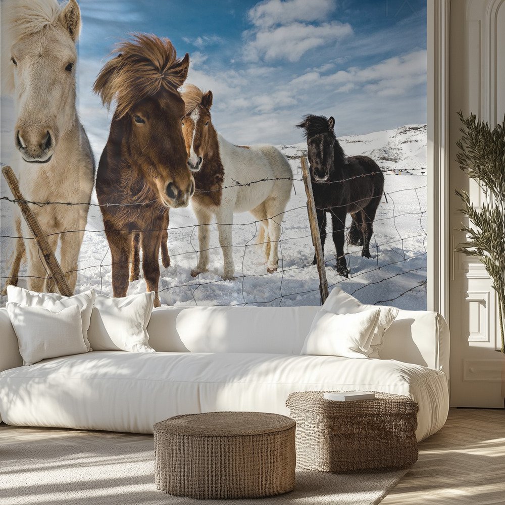 Kids Room