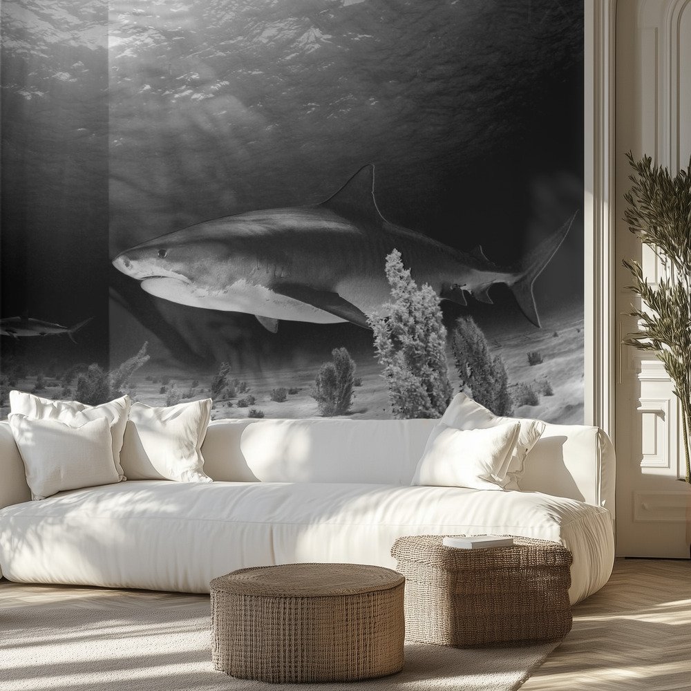 Kids Room