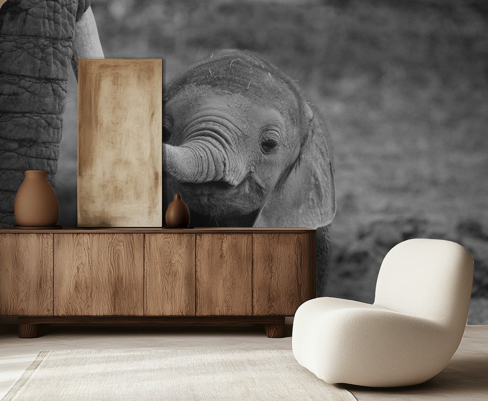 Safari & African Wildlife Wallpaper wallpaper collection