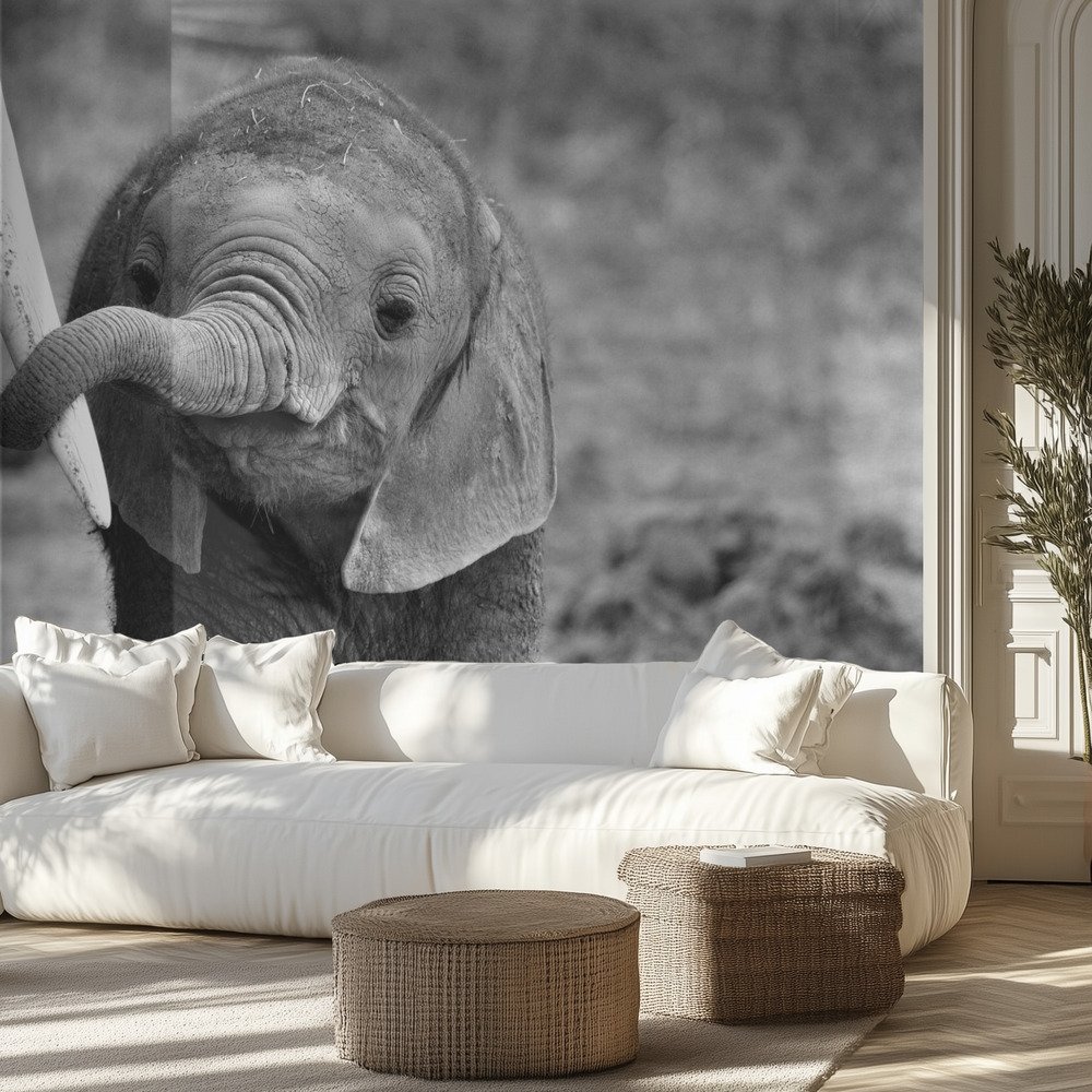Kids Room