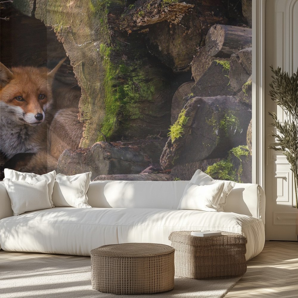 Kids Room