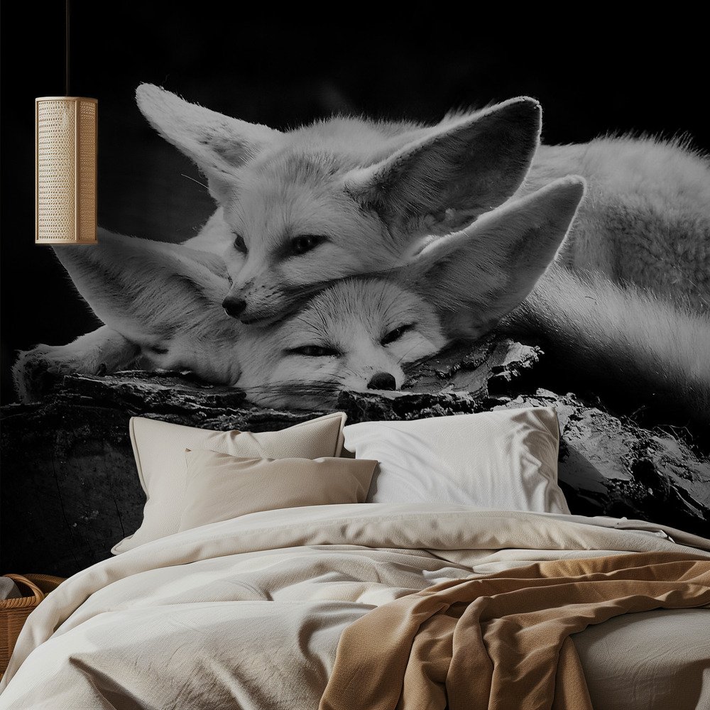 Peaceful Fennec Foxes
