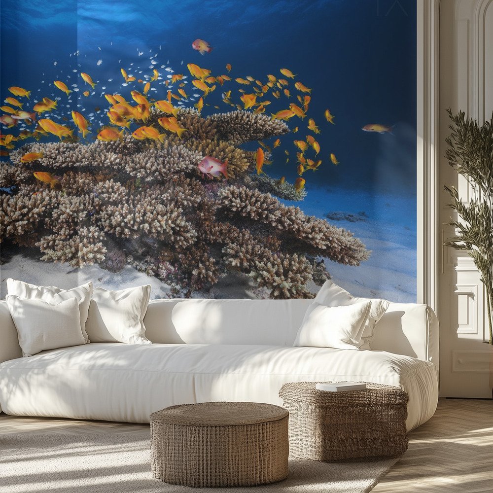 Kids Room