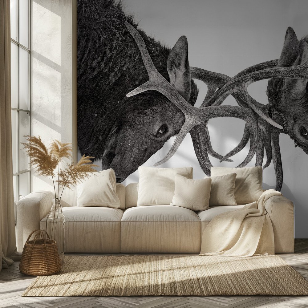 Dark & Dramatic Wallpaper wallpaper collection
