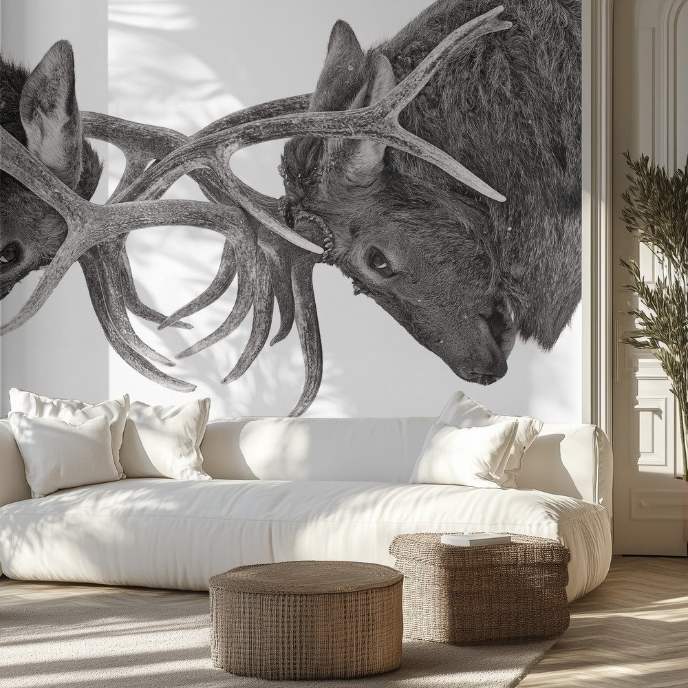 Kids Room
