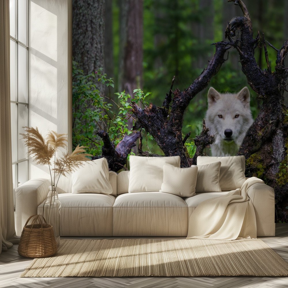Forest & Woodland Animal Wallpaper wallpaper collection