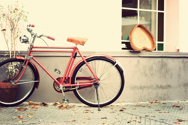 Bicycle
