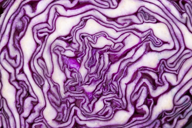 Close - up photo of red cabbage