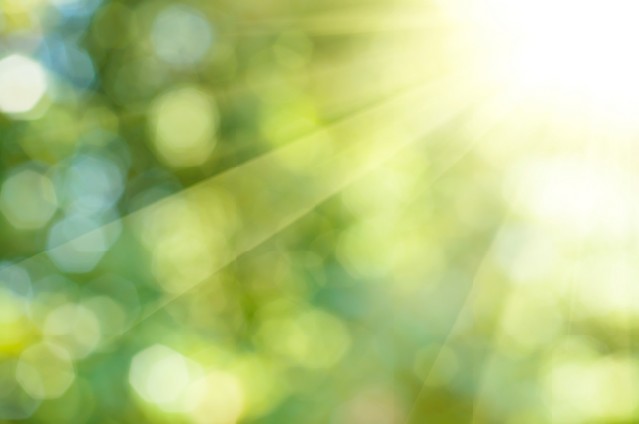 Natural outdoors bokeh background in green and yellow