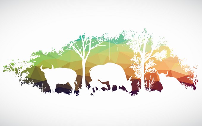 Patterned african wildlife concept