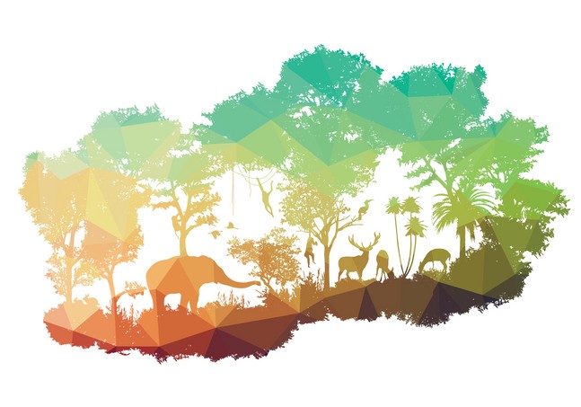 Patterned African Wildlife Design