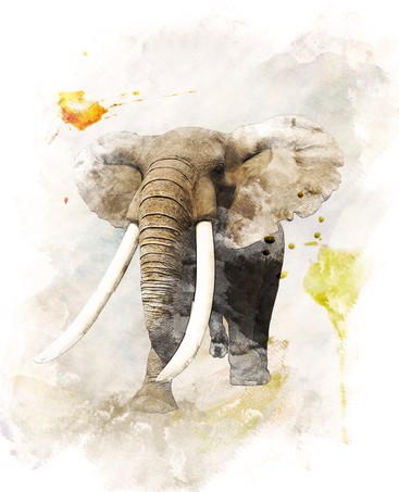 Watercolor Digital Painting Of Walking Elephant