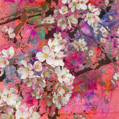 Blossoming apple tree painting, mixed media art background
