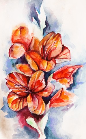 Blossoming gladiolus and poppy buds drawn by water color color on a water color paper