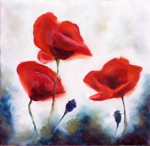 Blossoming poppy and poppy buds drawn by oil color on a canvas