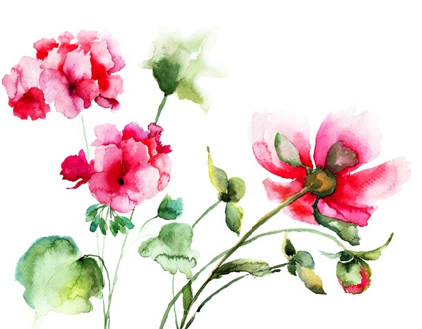 Geranium and Peony flowers, watercolor illustration