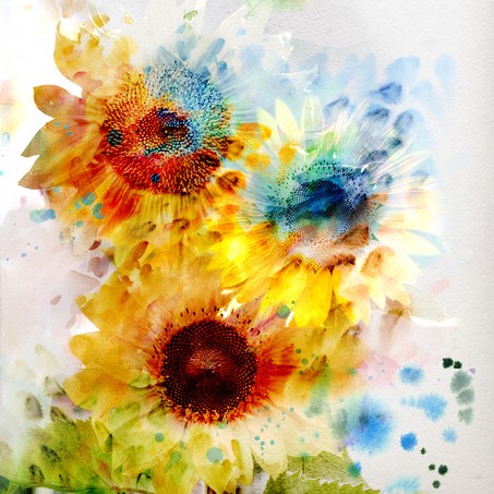 Watercolor painting. expressive sunflowers