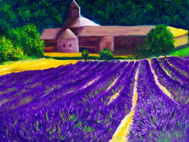 Oil Painting - Countryside Lavender Farm