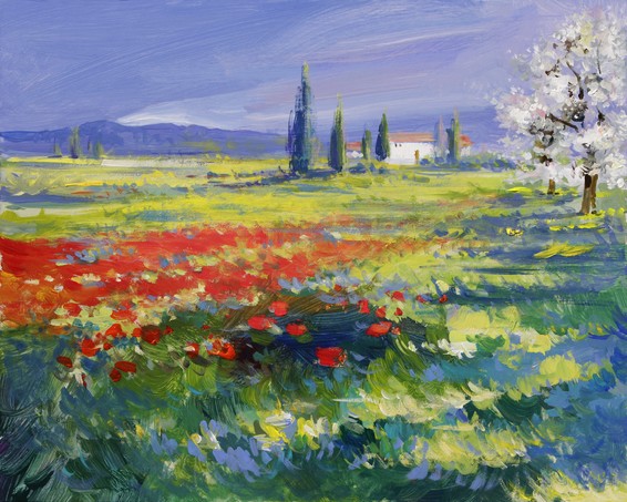 Red poppies on a summer meadow - oil paints on acrylics
