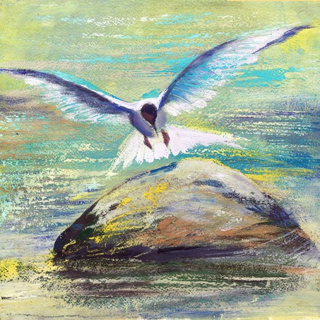 The seagull flying over water