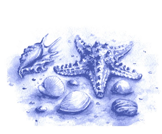 Watercolor stones, seashells and starfish